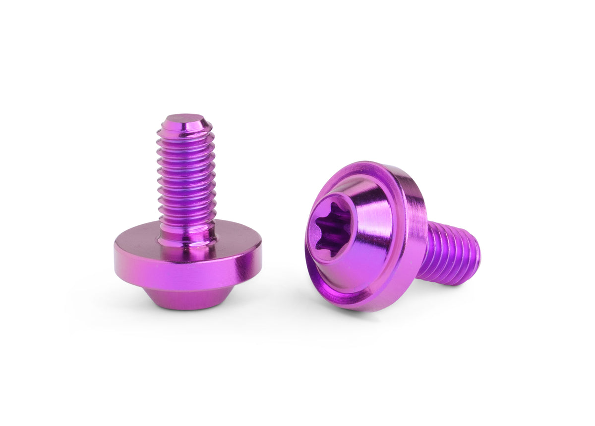 Two metallic purple hex head screws with star drive sockets, one showing the front face and the other showing the side profile, on a white background.