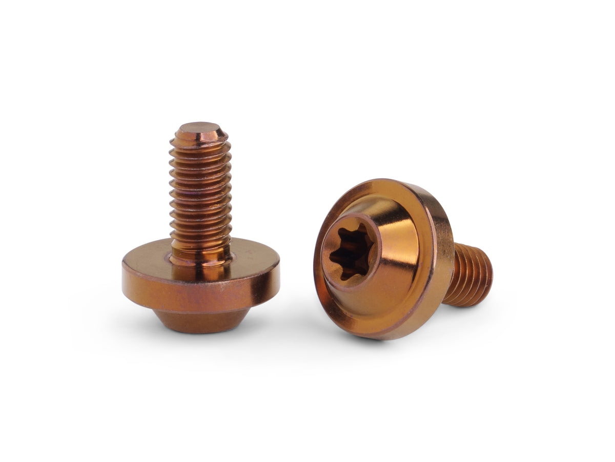 Two metallic copper-colored screws with star-drive heads, one standing upright and the other lying on its side, on a clean white background.